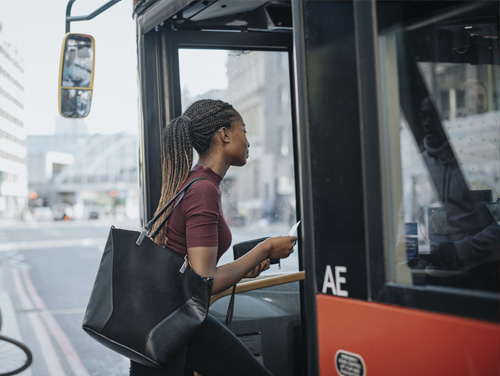 bus